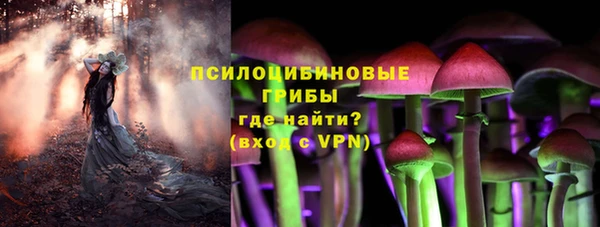 дмт Бородино