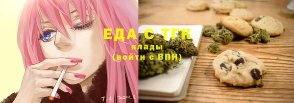 дмт Бородино