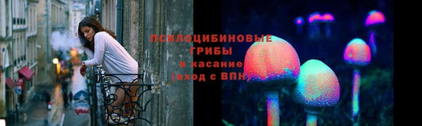 стаф Бронницы