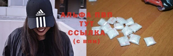 дмт Бородино
