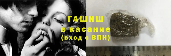 дмт Бородино