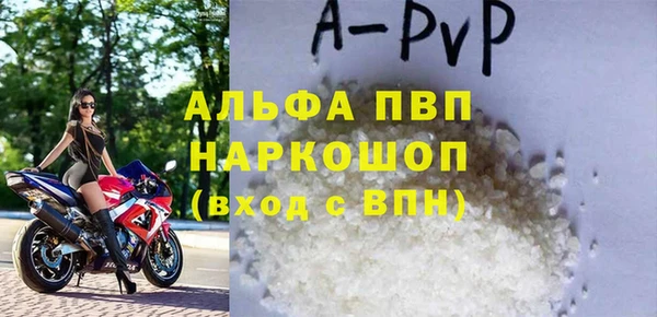 дмт Бородино